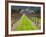 Ledson Winery, Sonoma Valley, California, USA-Julie Eggers-Framed Photographic Print