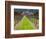 Ledson Winery, Sonoma Valley, California, USA-Julie Eggers-Framed Photographic Print