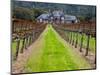 Ledson Winery, Sonoma Valley, California, USA-Julie Eggers-Mounted Photographic Print