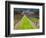 Ledson Winery, Sonoma Valley, California, USA-Julie Eggers-Framed Photographic Print