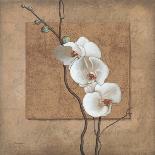 Golden Orchid I-Lee Carlson-Stretched Canvas