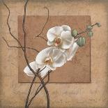 Golden Orchid I-Lee Carlson-Stretched Canvas