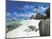 Photographic Print
