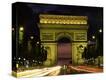 Stretched Canvas Print