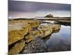 Photographic Print