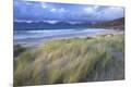 Premium Photographic Print