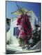 Photographic Print
