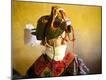 Photographic Print