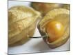 Photographic Print
