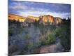 Photographic Print