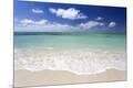 Photographic Print