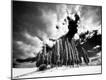 Photographic Print