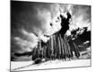 Photographic Print