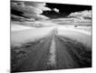 Photographic Print