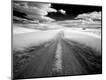 Photographic Print