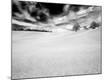 Premium Photographic Print