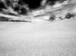Premium Photographic Print