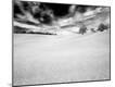Photographic Print