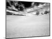 Photographic Print