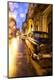 Photographic Print