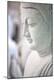Premium Photographic Print