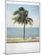 Premium Photographic Print