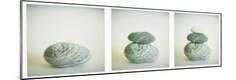 Premium Photographic Print