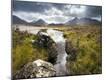 Photographic Print