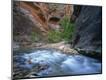 Photographic Print
