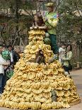 Playful Orangutans, Seoul, South Korea, c.2007-Lee Jin-man-Mounted Photographic Print