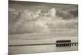 Premium Photographic Print