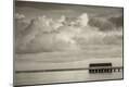 Premium Photographic Print