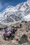 Trail through Khumbu Valley with Mt. Everest in background.-Lee Klopfer-Photographic Print