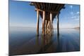 Premium Photographic Print