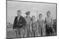 Photographic Print