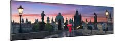 Premium Photographic Print