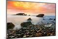 Premium Photographic Print