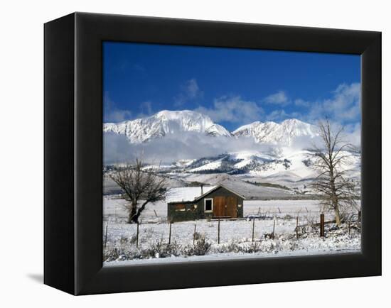 Lee Vining, California, USA-null-Framed Premier Image Canvas