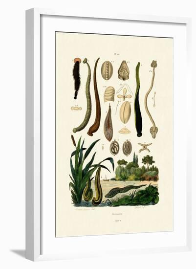 Leech, 1833-39-null-Framed Giclee Print