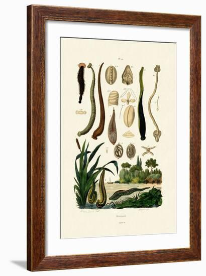 Leech, 1833-39-null-Framed Giclee Print