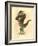 Leech 1873 'Missing Links' Parade Costume Design-Charles Briton-Framed Giclee Print