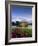 Leeds Castle, Kent, England, United Kingdom, Europe-Woolfitt Adam-Framed Photographic Print