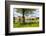 Leeds Castle, Maidstone, Kent, England, United Kingdom, Europe-Matthew Williams-Ellis-Framed Photographic Print