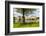 Leeds Castle, Maidstone, Kent, England, United Kingdom, Europe-Matthew Williams-Ellis-Framed Photographic Print