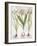 Leek And Irises, 1613-Besler Basilius-Framed Giclee Print