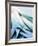 Leek Stalks-Steve Baxter-Framed Photographic Print