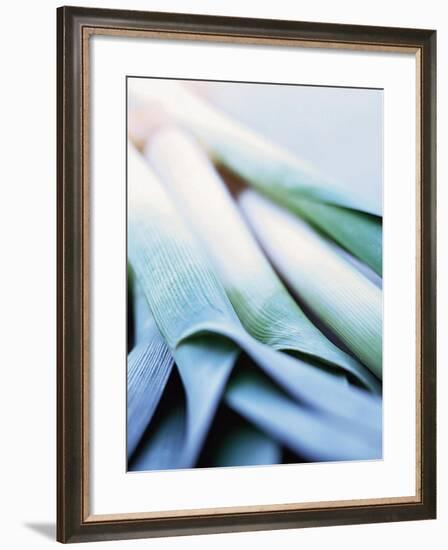 Leek Stalks-Steve Baxter-Framed Photographic Print