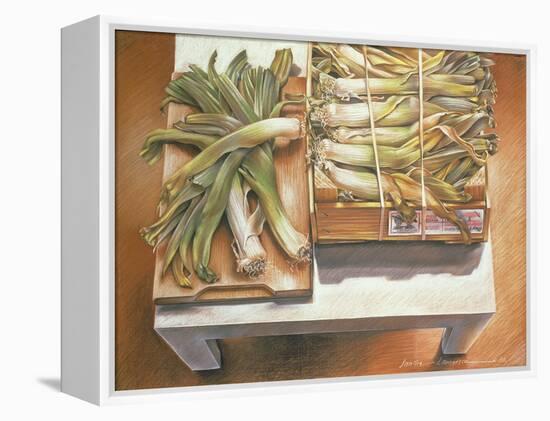 Leeks, 1980-Sandra Lawrence-Framed Premier Image Canvas