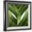 Leeks, 2013-Jennifer Abbott-Framed Giclee Print