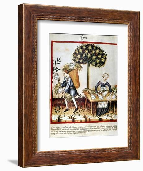 Leeks-null-Framed Giclee Print